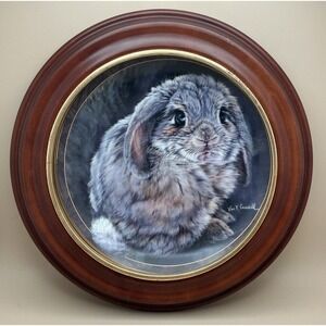 1998 Bradford Exchange Vivi Crandall Bunny Tales FRAMED Plate "Tail Feathers"